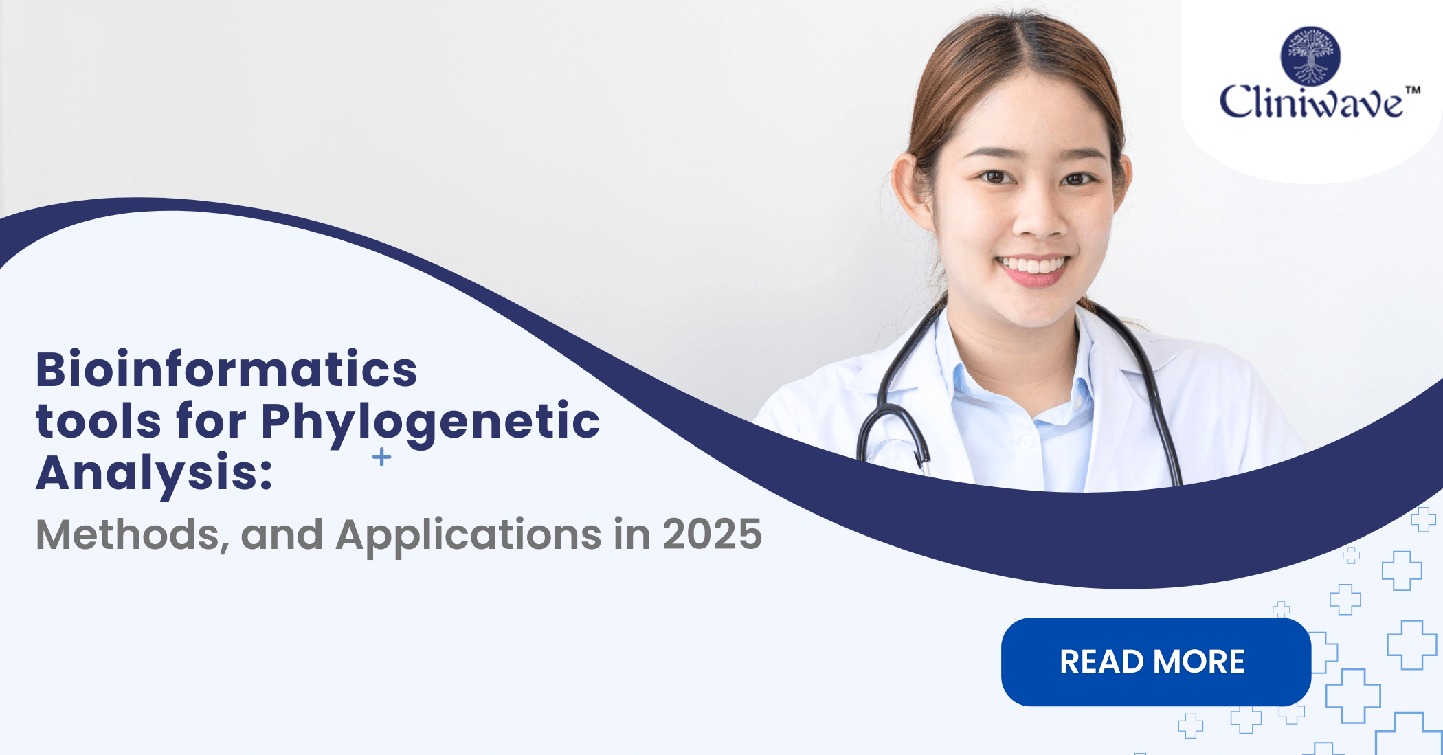 Phylogenetic Analysis in Bioinformatics: Methods & Tools | Cliniwave